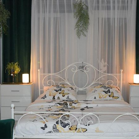 Apartament U Danusi Zloty Stok Ngoại thất bức ảnh