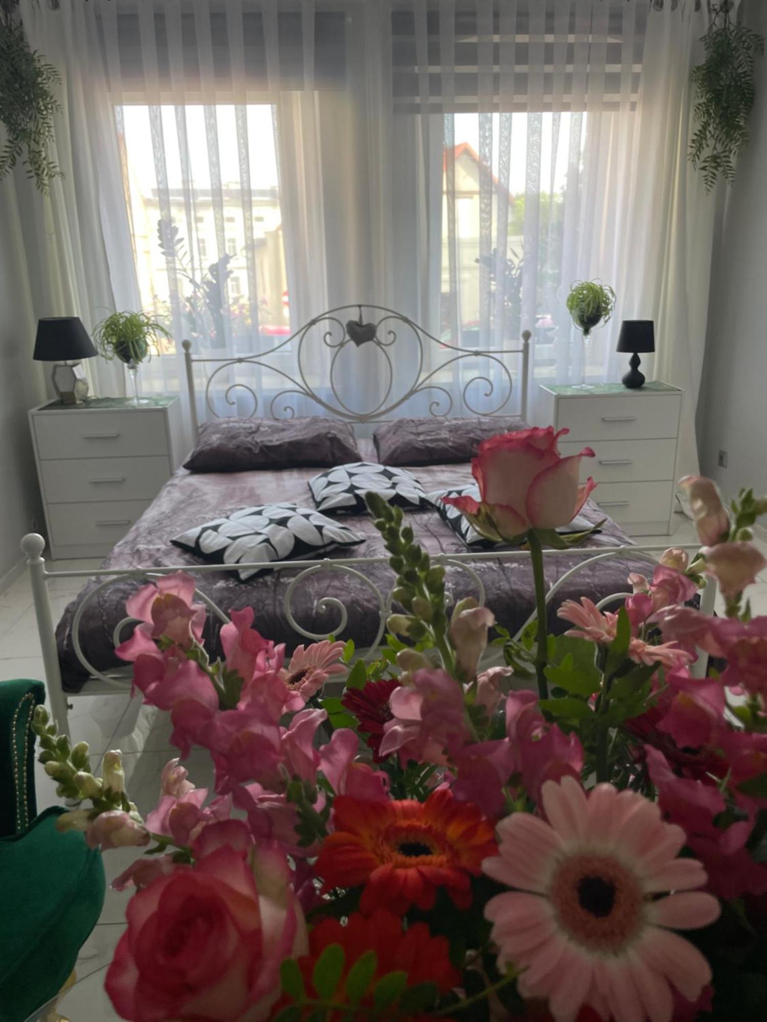 Apartament U Danusi Zloty Stok Ngoại thất bức ảnh